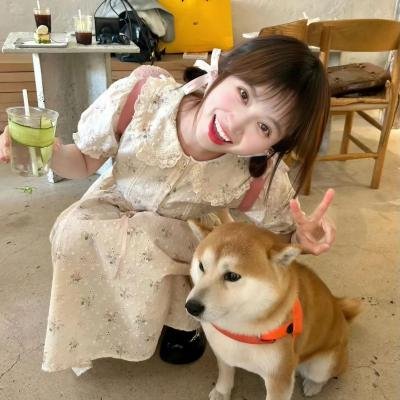 宝刀红侠